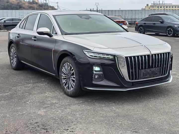 Фото 3 - Hongqi H5