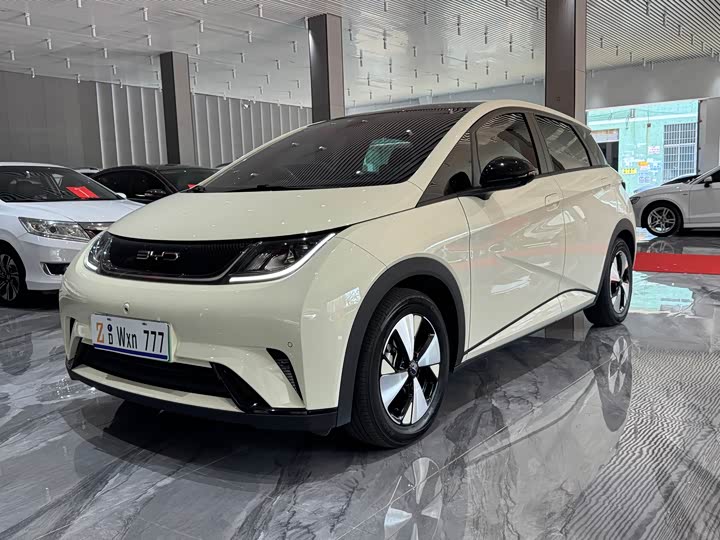 Фото 2 - BYD Dolphin