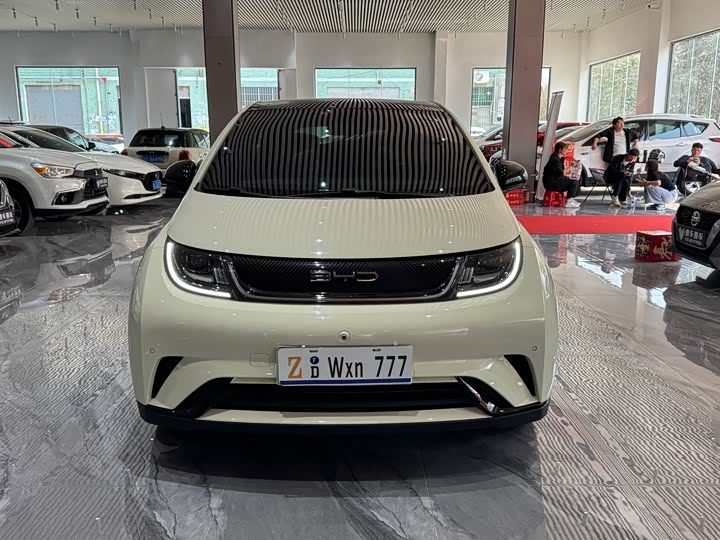 Фото 3 - BYD Dolphin