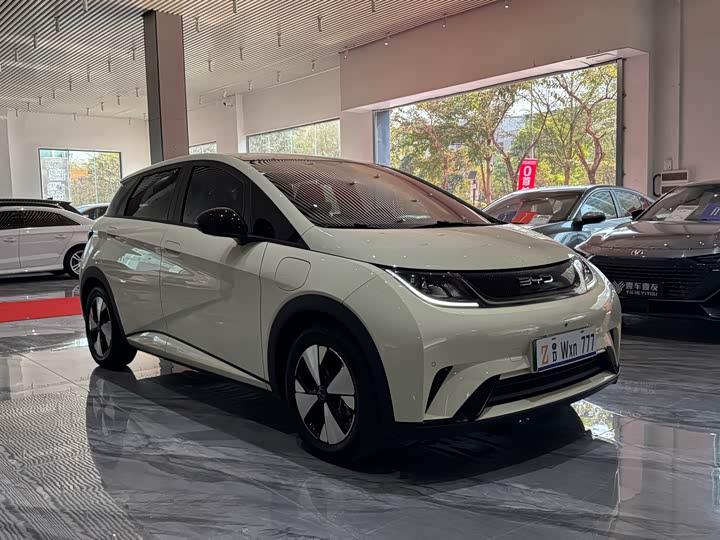 Фото 4 - BYD Dolphin