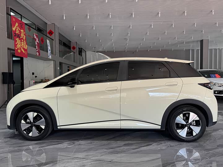 Фото 5 - BYD Dolphin