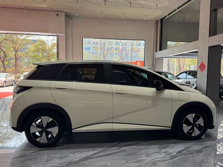 Фото 6 - BYD Dolphin