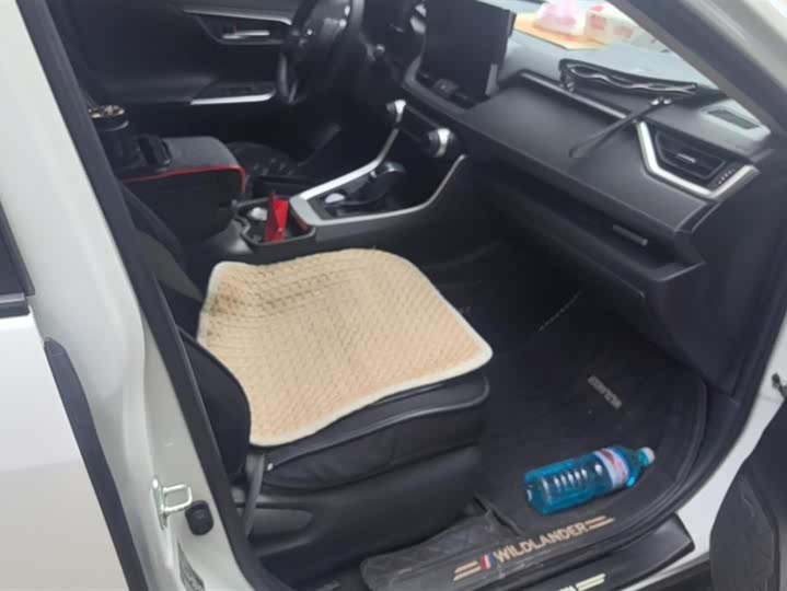 Фото 8 - Toyota Wildlander