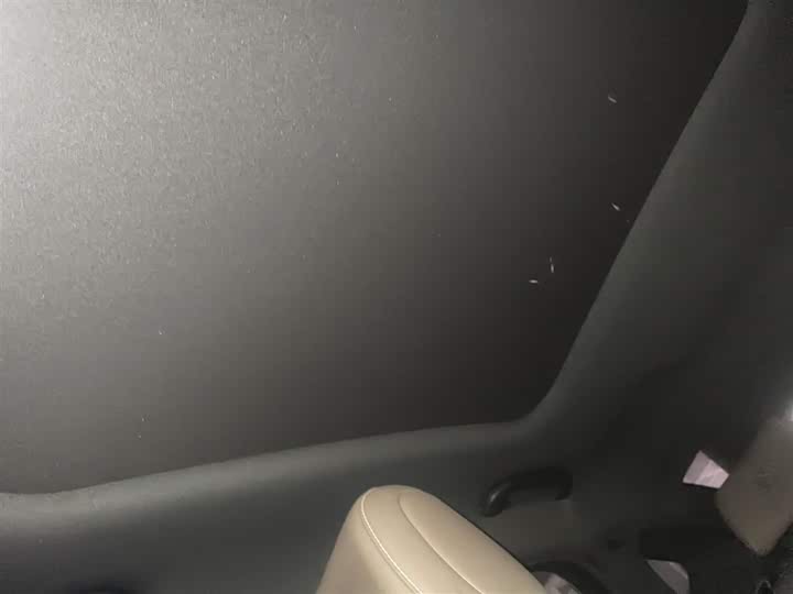 Фото 9 - BYD Han