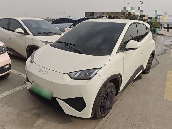 Фото 1 - BYD Seagull