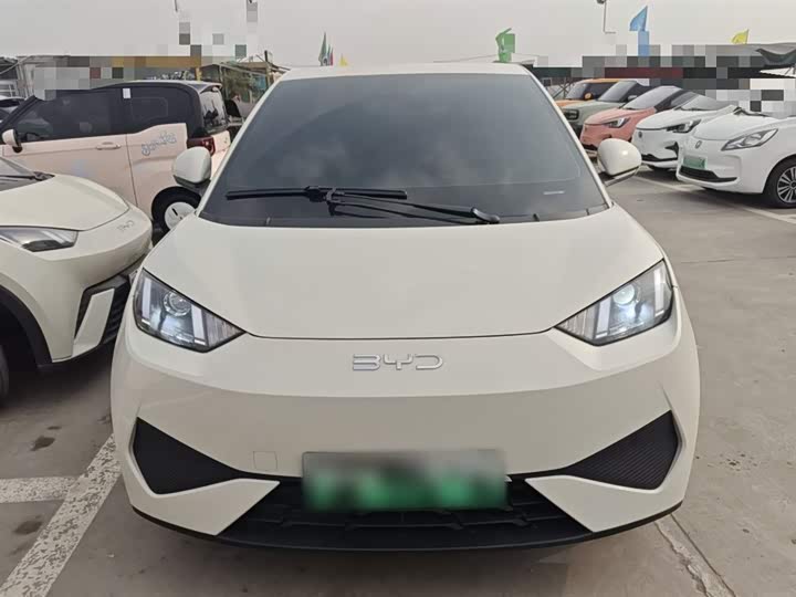 Фото 3 - BYD Seagull