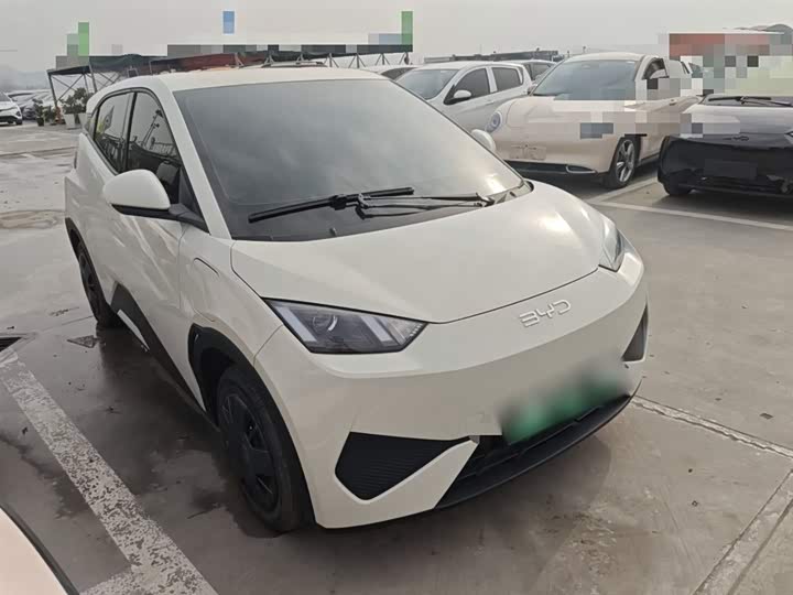 Фото 4 - BYD Seagull