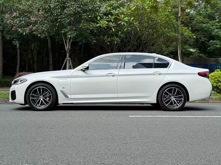 Фото 4 - BMW 5 Series Hybrid