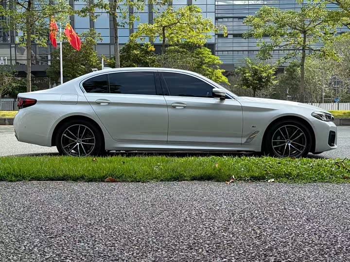 Фото 5 - BMW 5 Series Hybrid