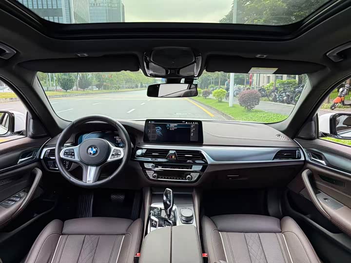 Фото 6 - BMW 5 Series Hybrid