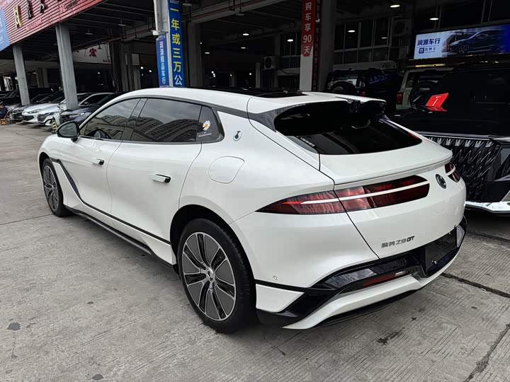 Фото 4 - Denza Z9GT