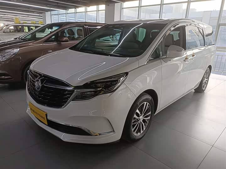 Фото 2 - Buick GL8 ES