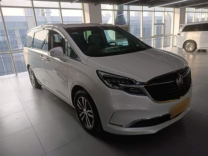 Фото 4 - Buick GL8 ES