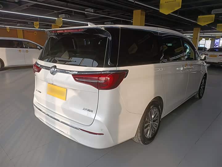 Фото 7 - Buick GL8 ES