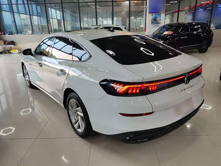 Фото 5 - Volkswagen Lamando L