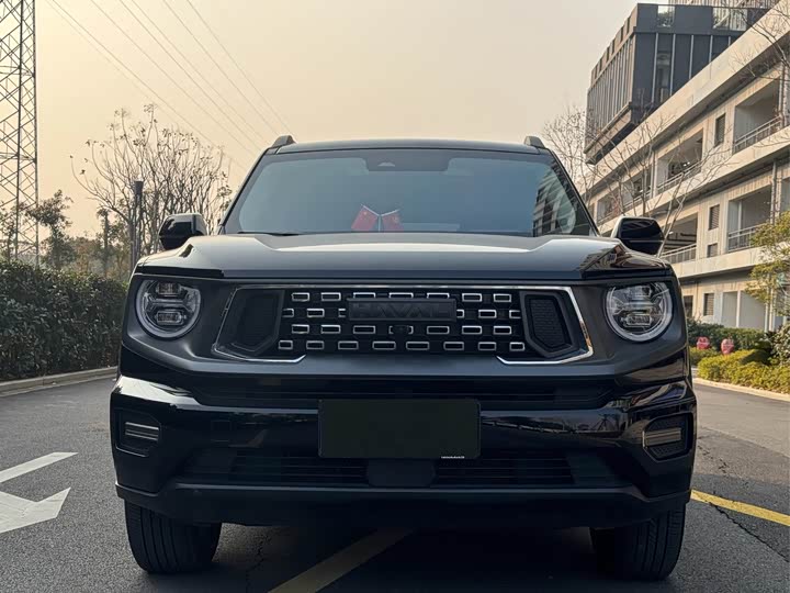 Фото 2 - Haval Dargo