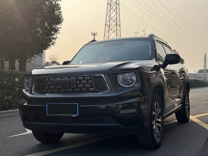 Фото 3 - Haval Dargo