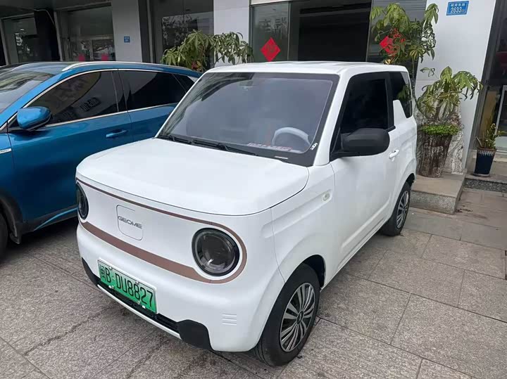 Фото 2 - Geely Galaxy Panda Mini