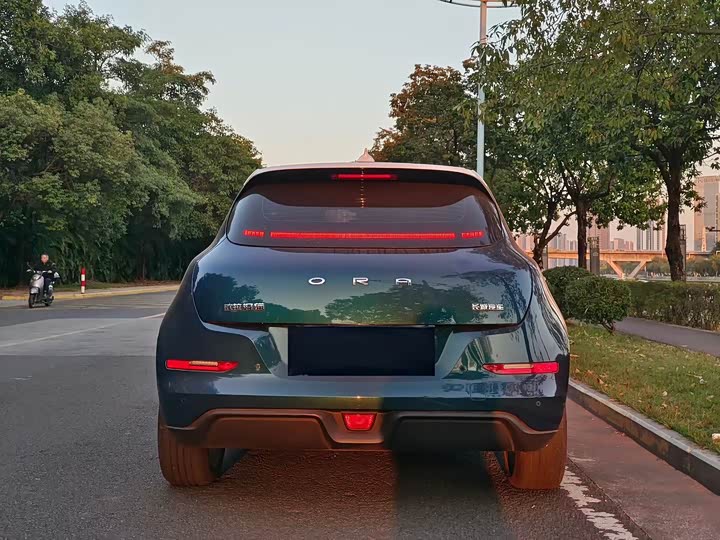 Фото 2 - Ora Good Cat (03)