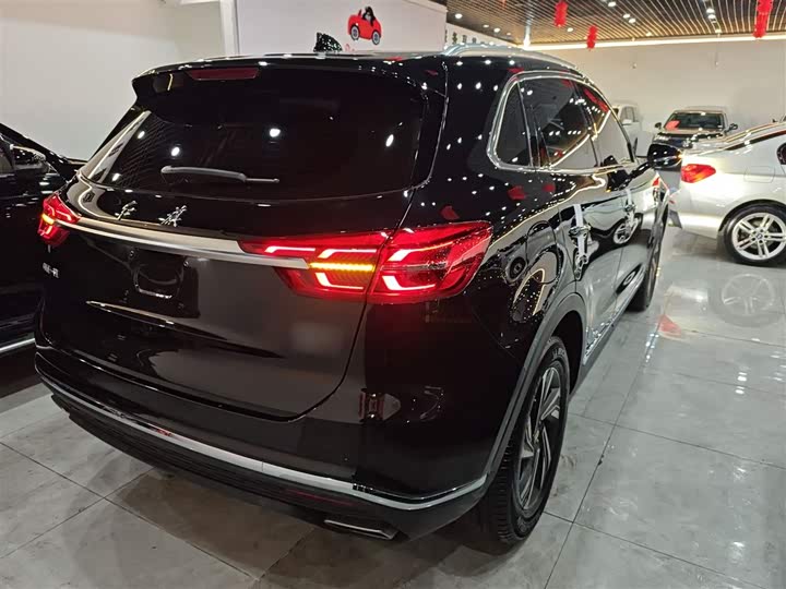 Фото 7 - Hongqi HS5