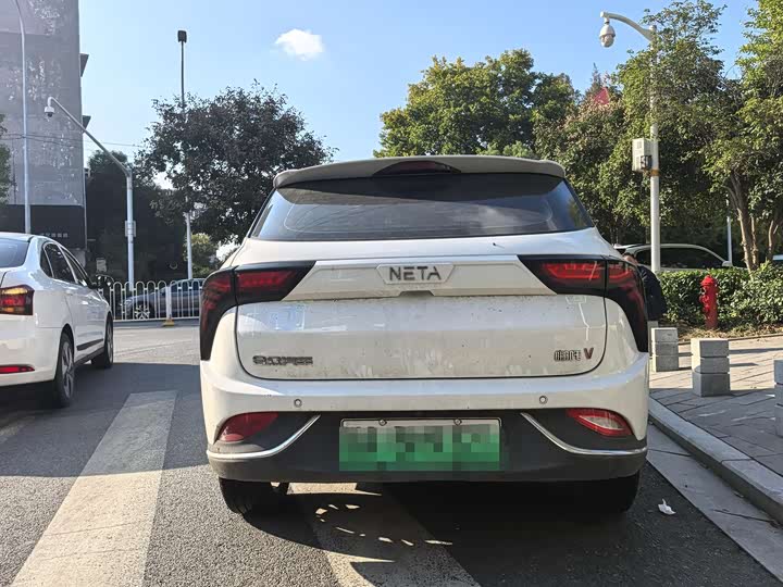 Фото 9 - Hozon V