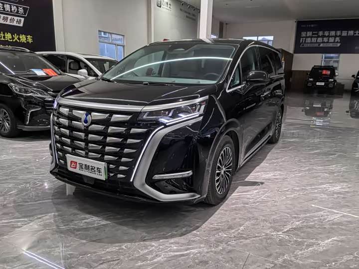 Фото 1 - Denza D9