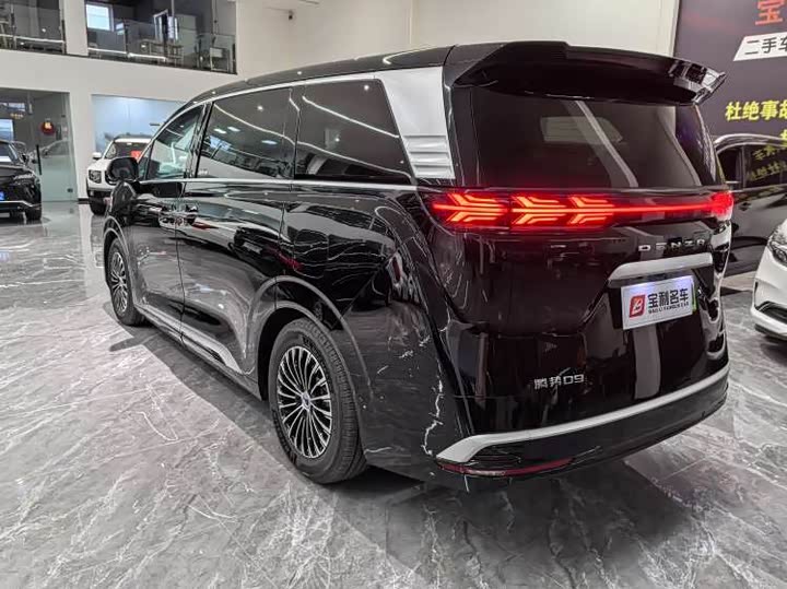 Фото 2 - Denza D9