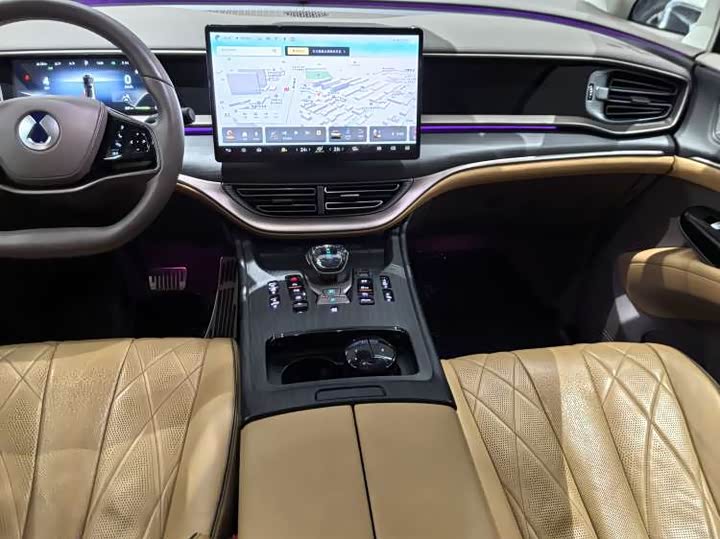 Фото 3 - Denza D9