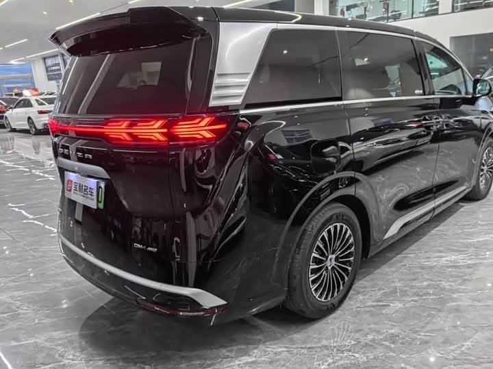 Фото 6 - Denza D9