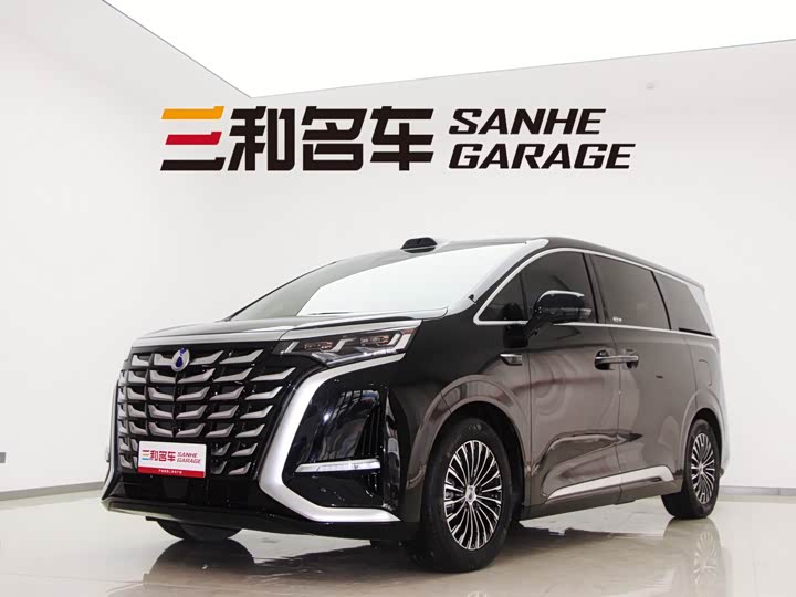 Фото 1 - Denza D9