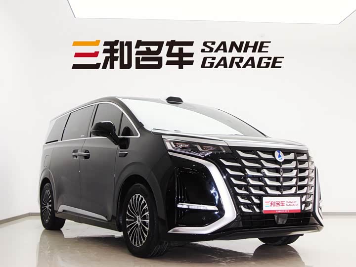 Фото 2 - Denza D9