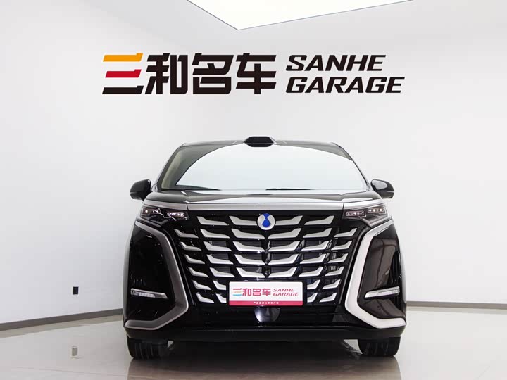 Фото 3 - Denza D9