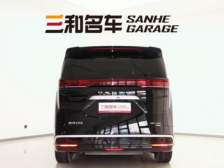 Фото 6 - Denza D9