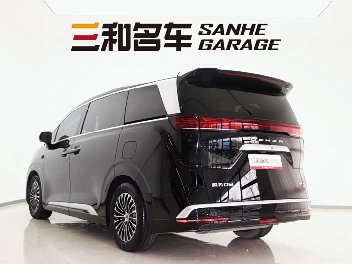 Фото 7 - Denza D9