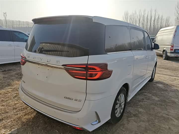 Фото 7 - Maxus G20