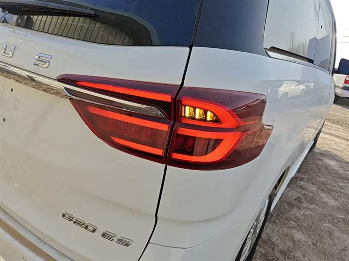 Фото 8 - Maxus G20