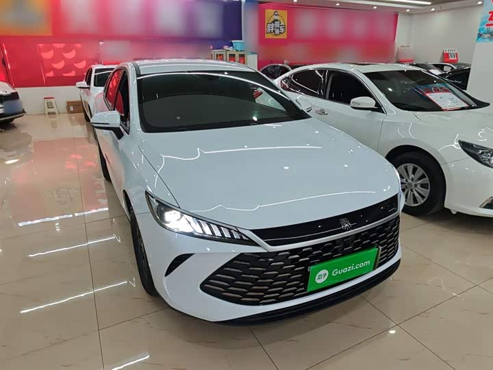 Фото 4 - BYD Qin Plus