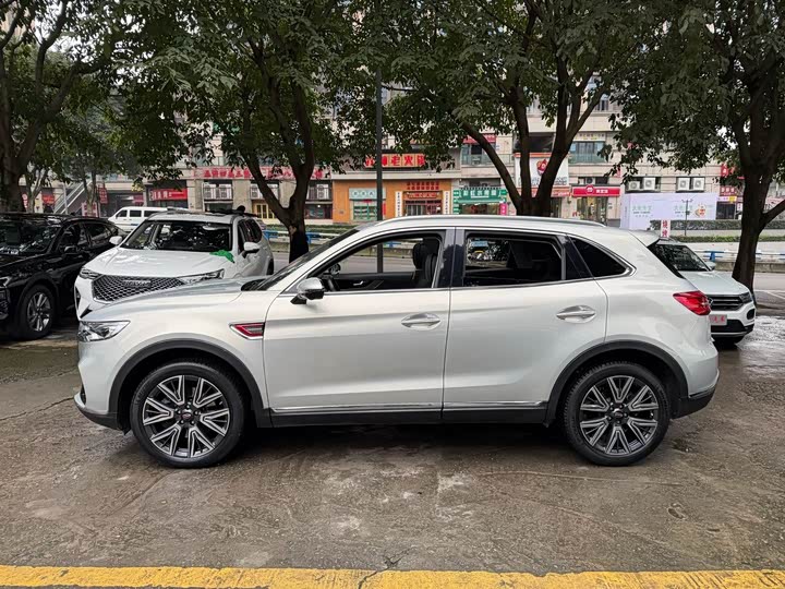 Фото 3 - Hongqi HS5