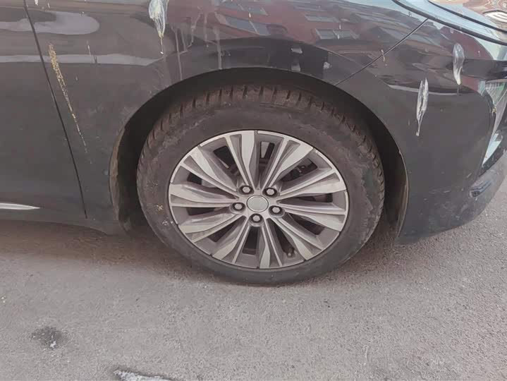 Фото 6 - Hongqi E-QM5