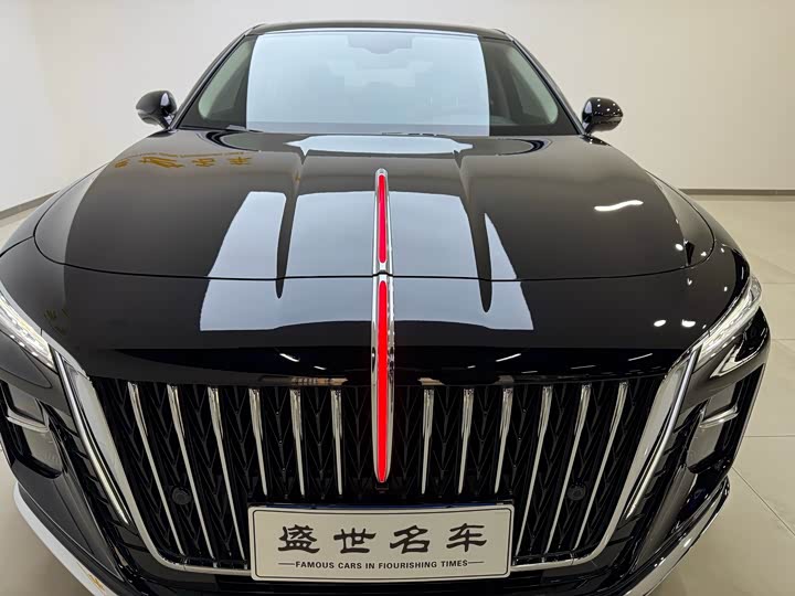 Фото 5 - Hongqi H5