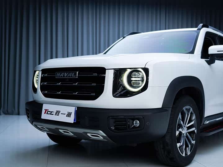 Фото 3 - Haval Dargo