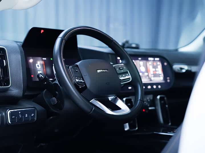 Фото 6 - Haval Dargo