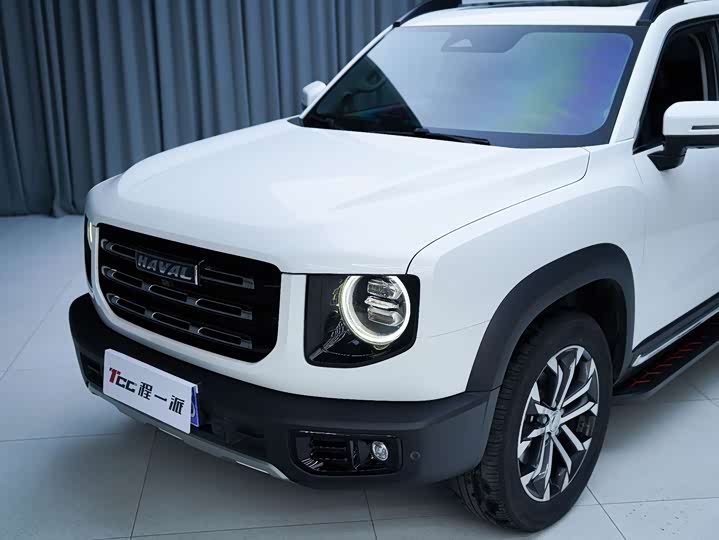 Фото 9 - Haval Dargo