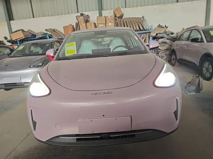 Фото 3 - Geely Galaxy Geome