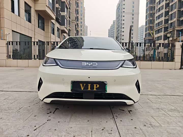 Фото 2 - BYD Dolphin