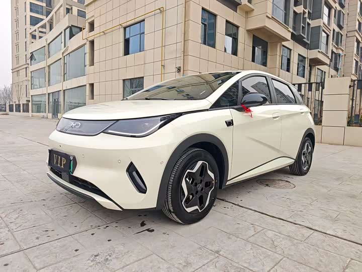 Фото 3 - BYD Dolphin