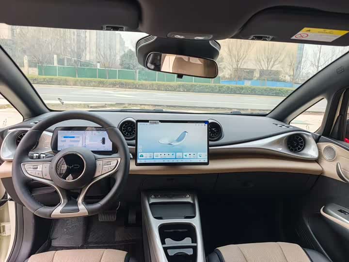 Фото 4 - BYD Dolphin