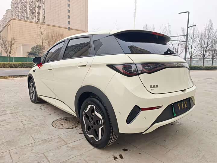 Фото 7 - BYD Dolphin