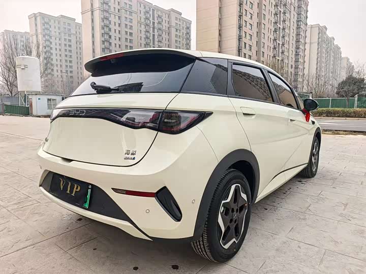 Фото 9 - BYD Dolphin