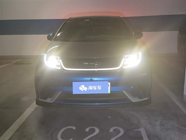 Фото 2 - BYD Dolphin